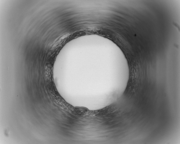 X0000103470773200810100934