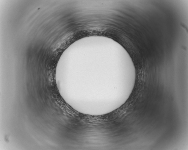 X0000103470774200810100934