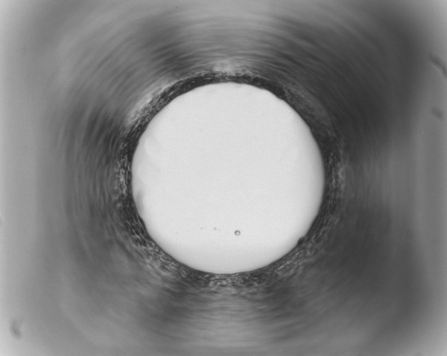 X0000103470776200810100934