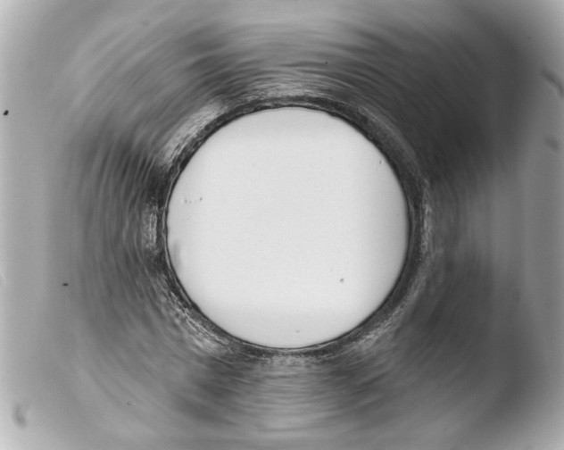 X0000103470777200810100934