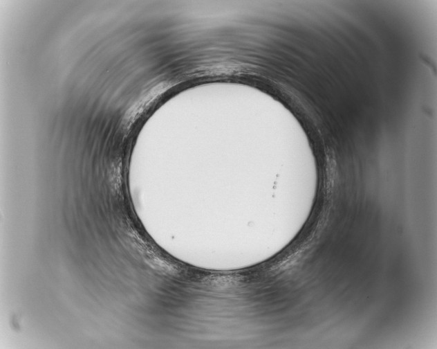 X0000103470778200810100934