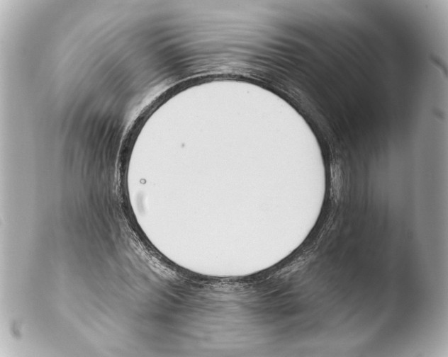 X0000103470780200810100934