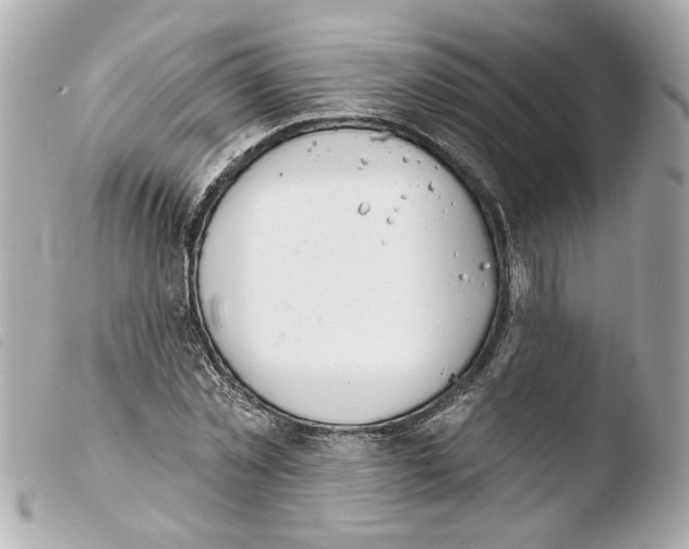 X0000103470781200810100934