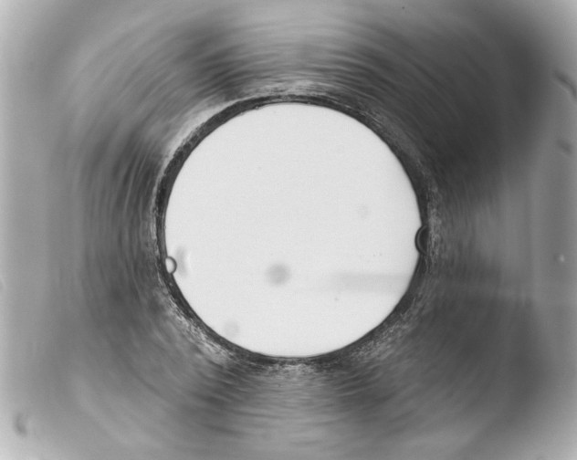 X0000103470784200810100934