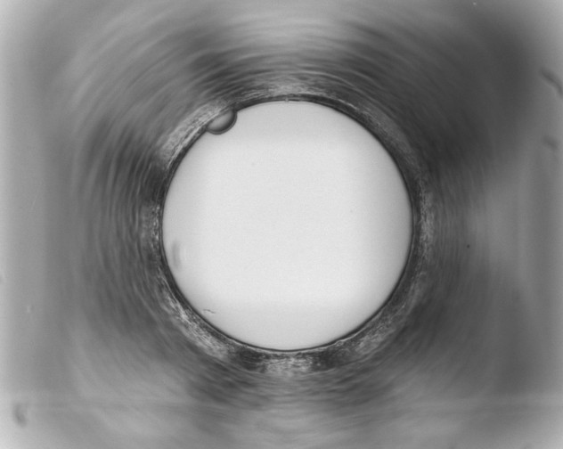 X0000103470793200810100934