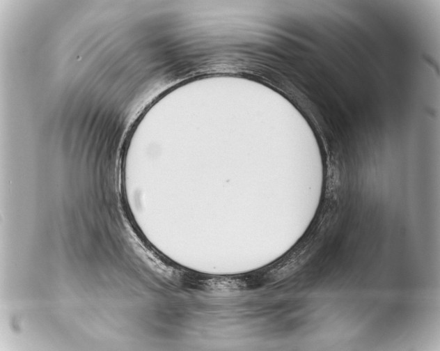 X0000103470795200810100934
