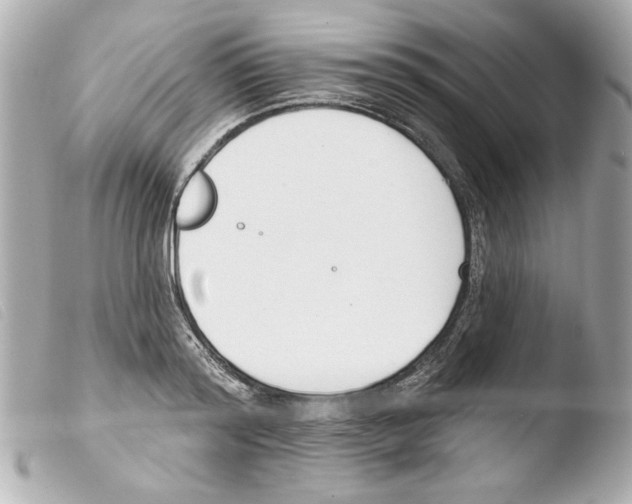 X0000103470796200810100934