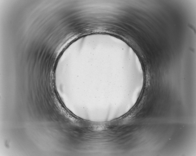 X0000103470798200810100934