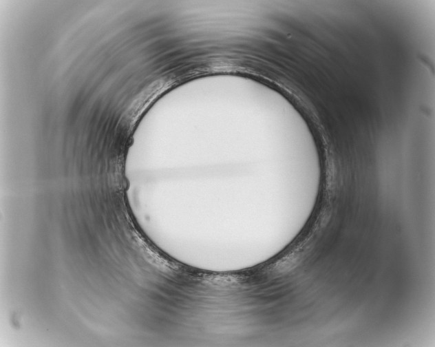 X0000103470801200810100933