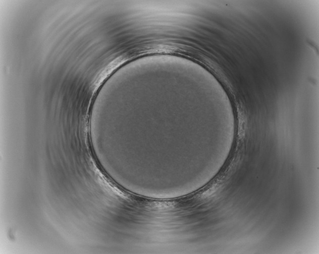 X0000103470802200810100933