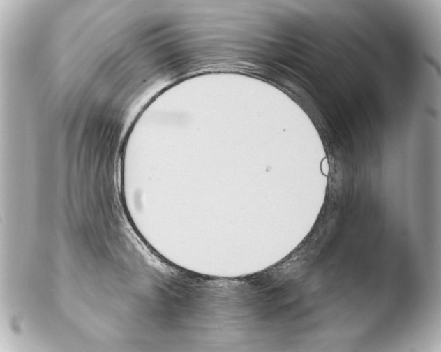 X0000103470804200810100933