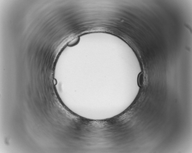 X0000103470805200810100933