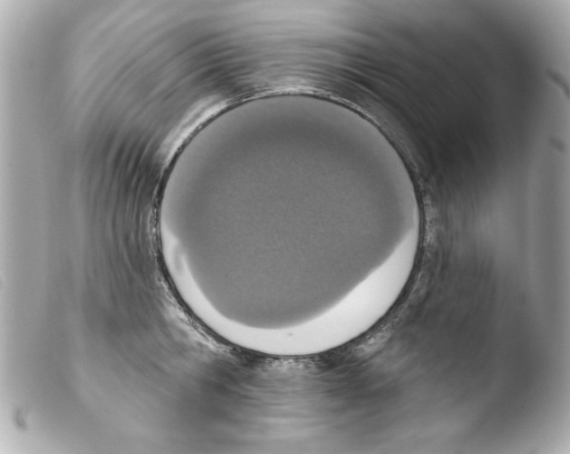 X0000103470806200810100933