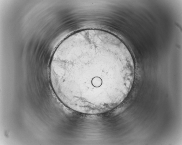 X0000103470807200810100933
