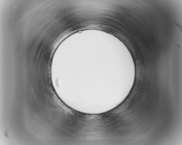 X0000103470808200810100933