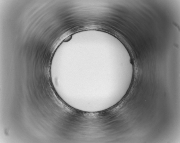 X0000103470810200810100933