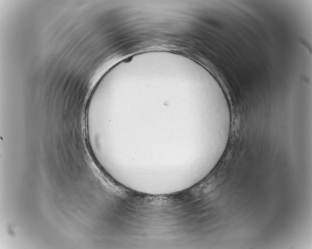 X0000103470811200810100933