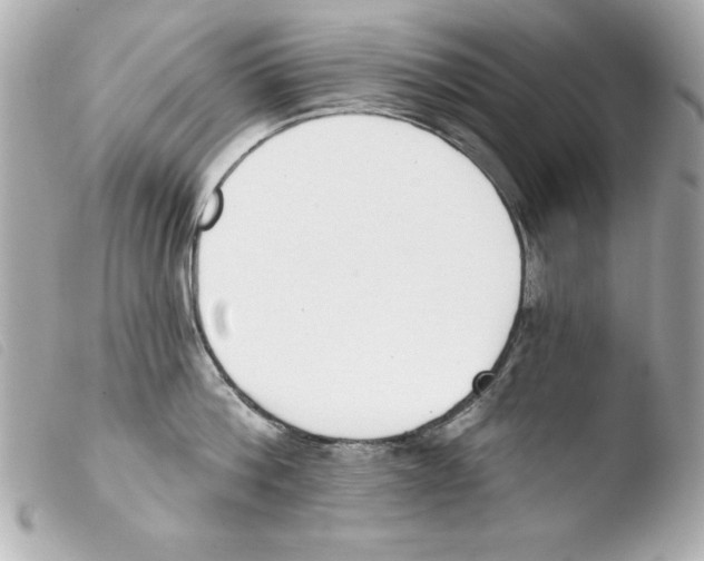 X0000103470812200810100933