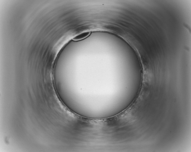 X0000103470813200810100933