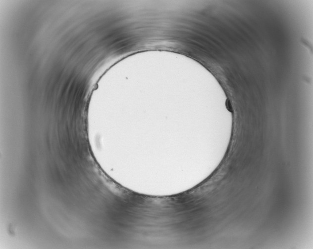 X0000103470816200810100933