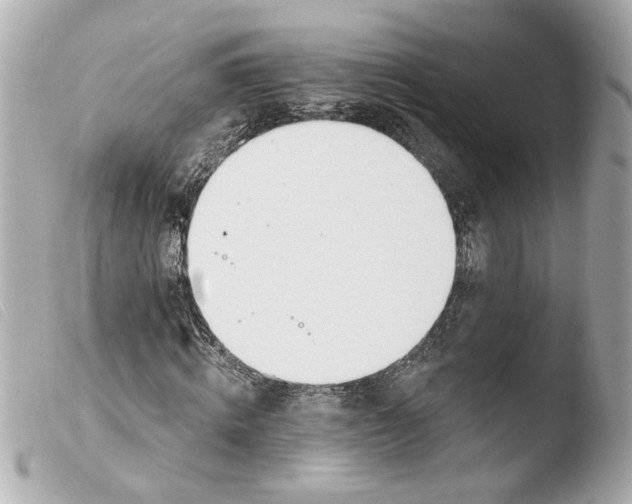 X0000103470820200810100932