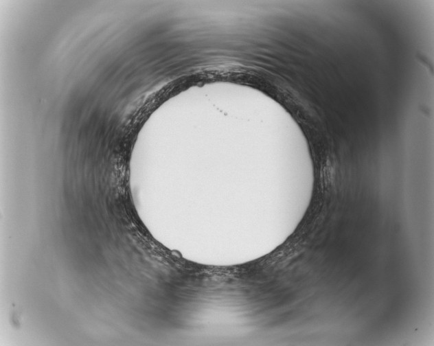 X0000103470822200810100933