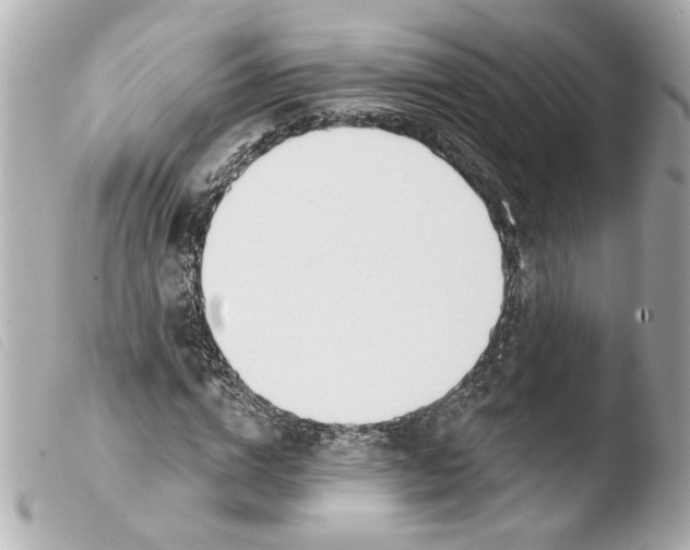 X0000103470824200810100933