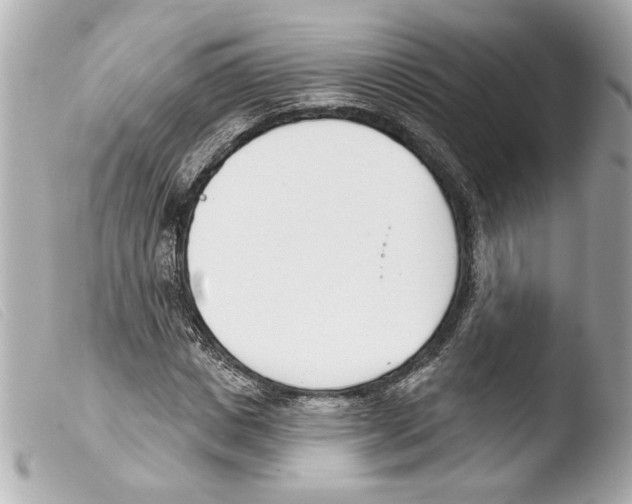 X0000103470825200810100933