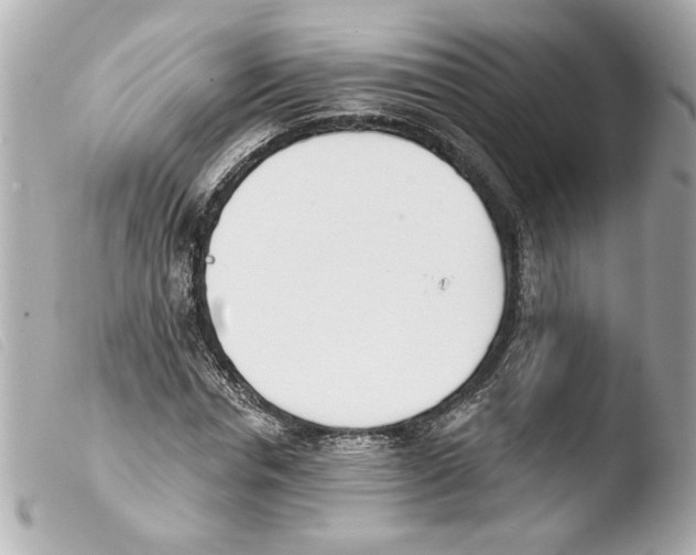 X0000103470826200810100933