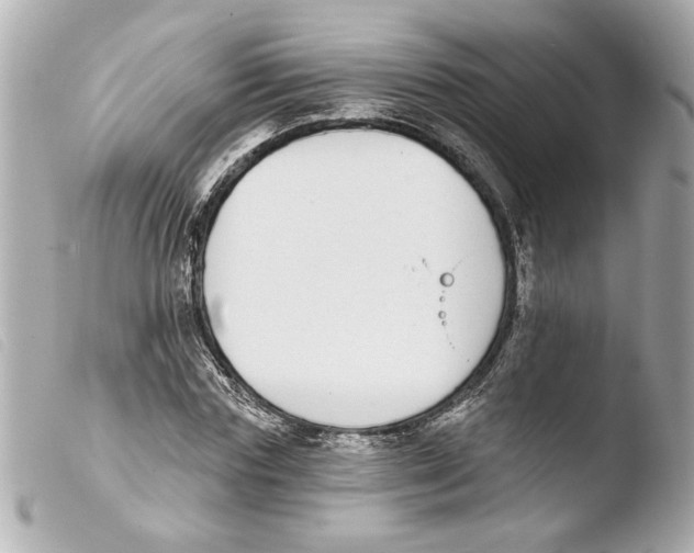 X0000103470827200810100933