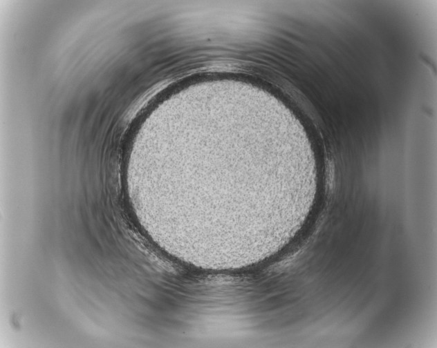 X0000103470829200810100933