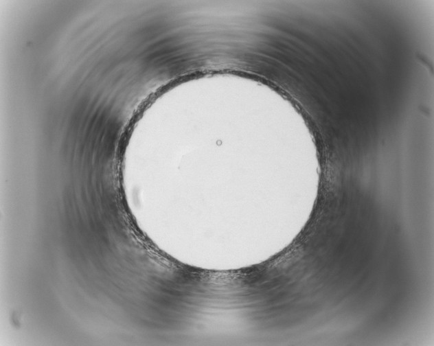 X0000103470832200810100933