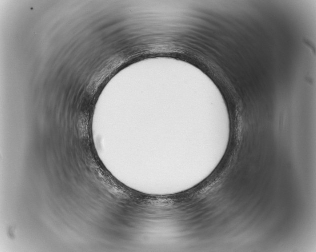 X0000103470833200810100933
