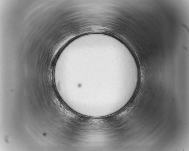 X0000103470835200810100933