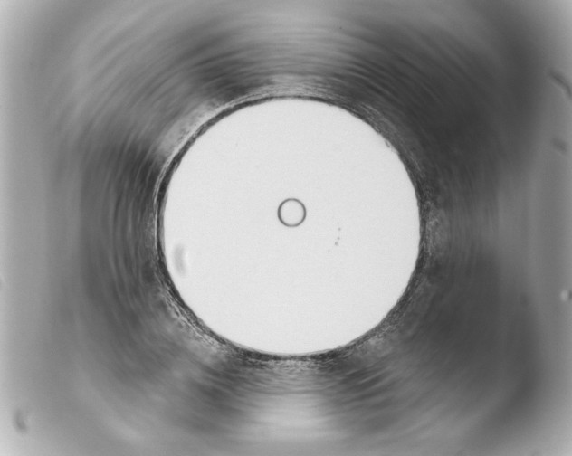 X0000103470836200810100933