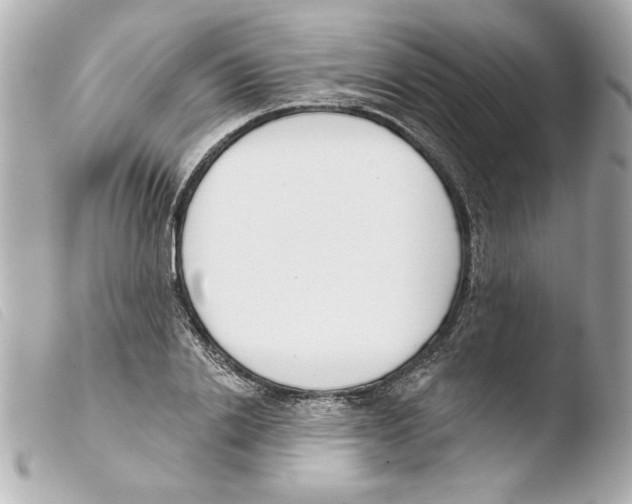 X0000103470838200810100933