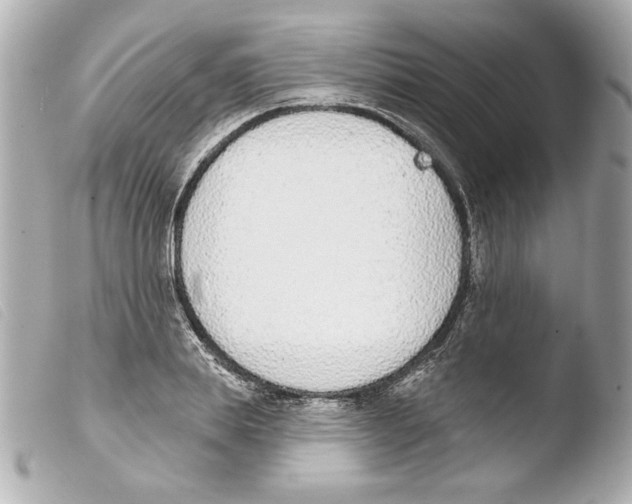 X0000103470839200810100933