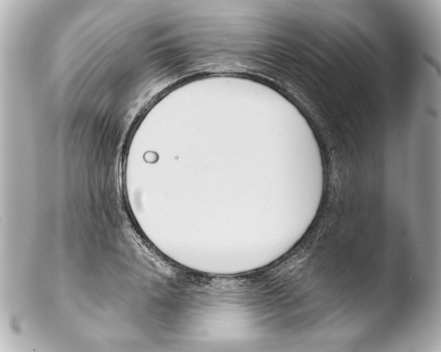 X0000103470840200810100933