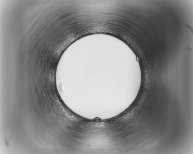 X0000103470841200810100933