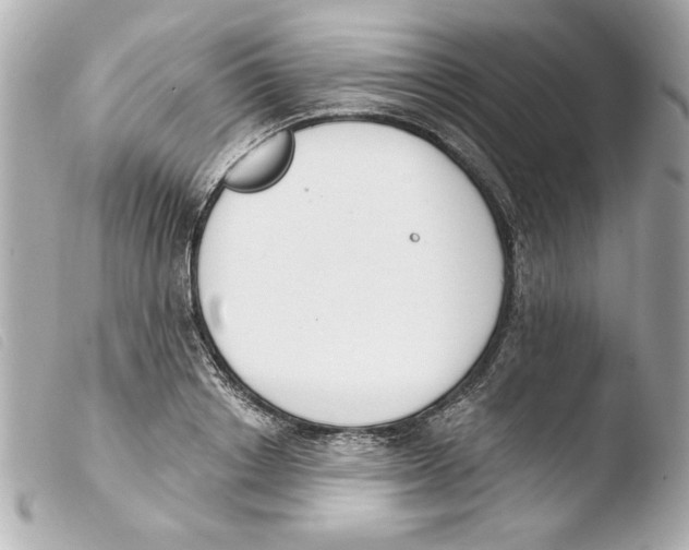X0000103470842200810100933