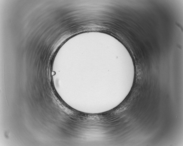 X0000103470843200810100933