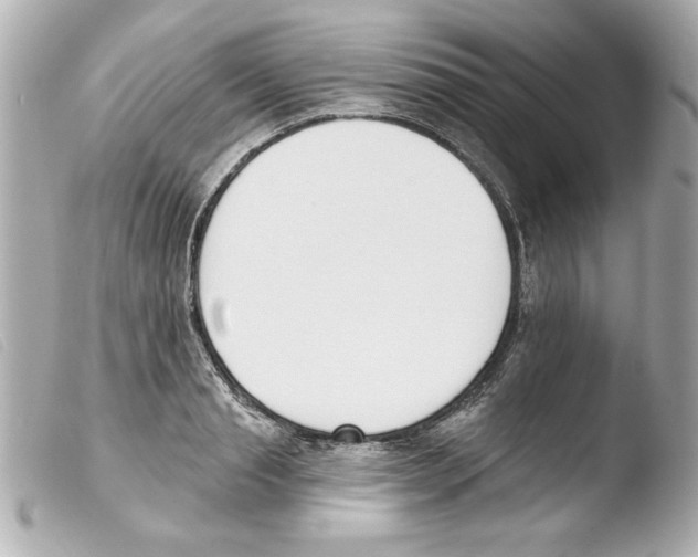 X0000103470845200810100933