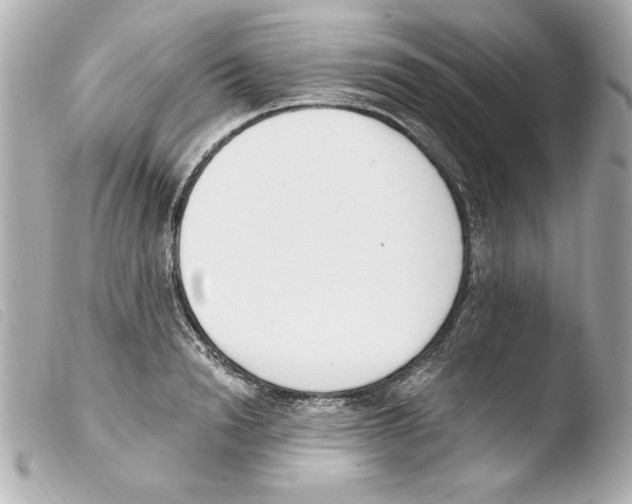 X0000103470846200810100933