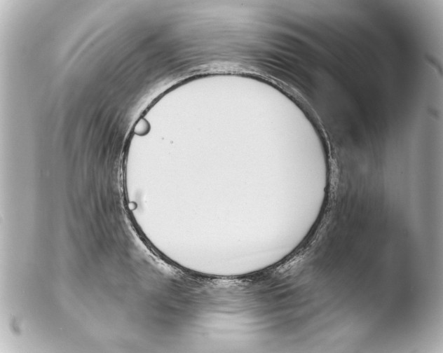 X0000103470847200810100933