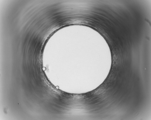 X0000103470848200810100933
