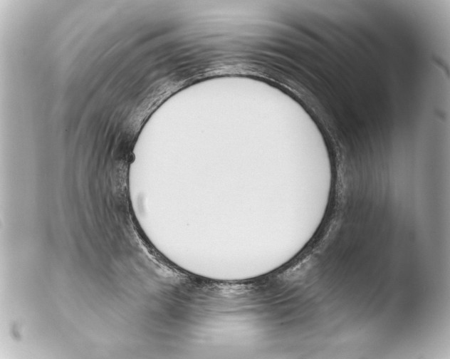 X0000103470849200810100933
