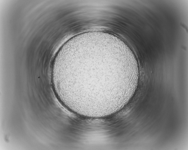 X0000103470851200810100933