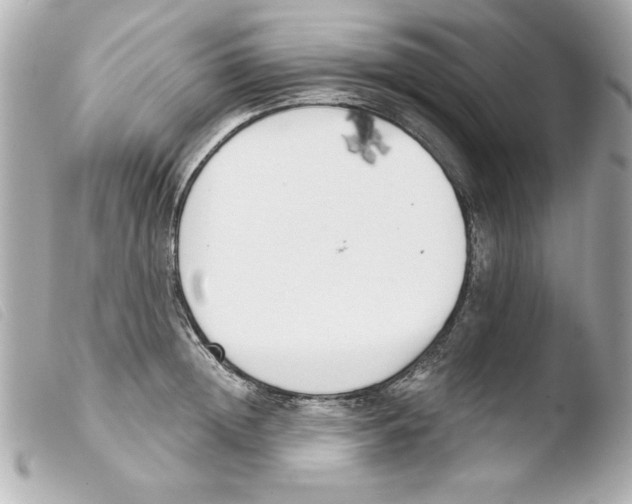 X0000103470852200810100933