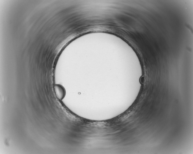 X0000103470853200810100933