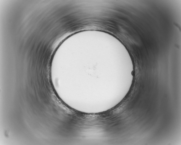 X0000103470854200810100933